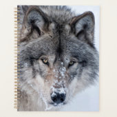 Timber Wolf Planer (Vorderseite)