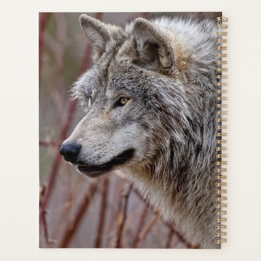 Timber Wolf Planer (Rückseite)