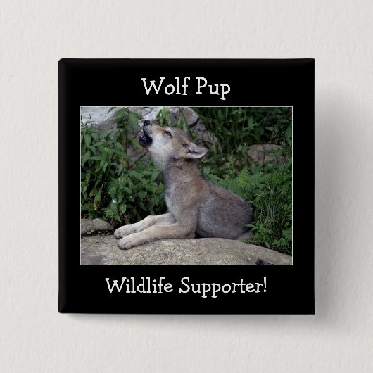 Timber Wolf Pup Gray Wolf Wild Animal Button (Vorderseite)
