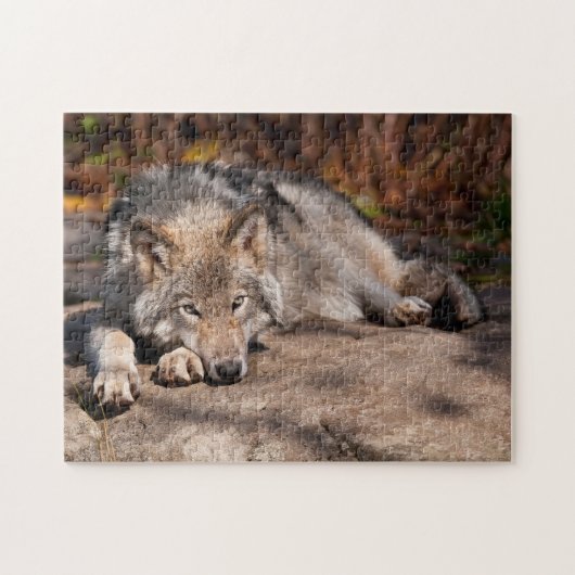 Timber Wolf Puzzle (Horizontal)