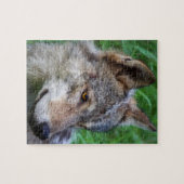 Timber Wolf Puzzle (Horizontal)
