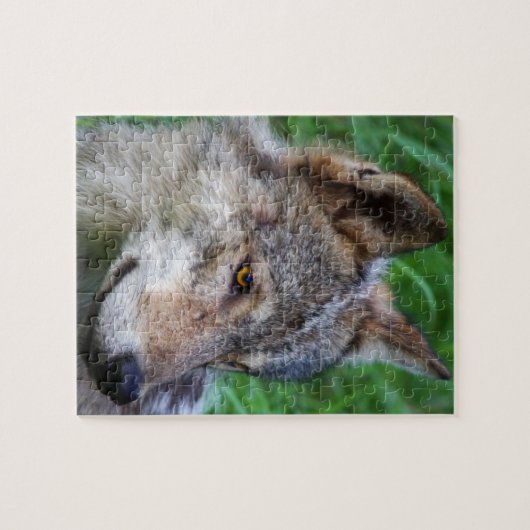 Timber Wolf Puzzle (Horizontal)
