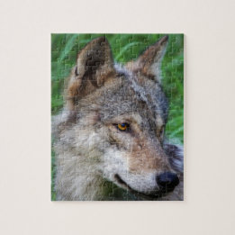 Timber Wolf Puzzle