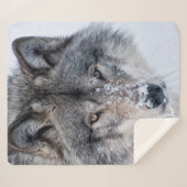 Timber Wolf Sherpadecke (Vorderseite (Horizontal))