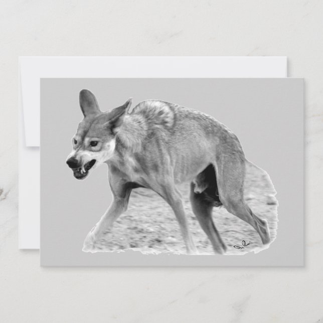 Timber Wolf Snarl (Vorderseite)