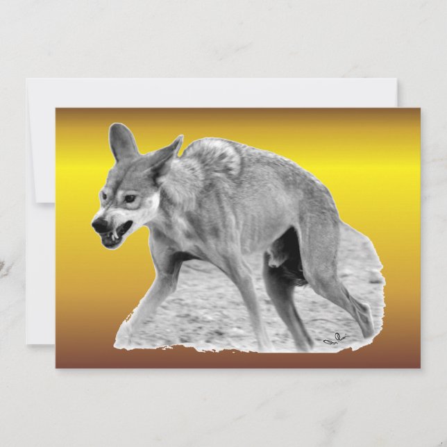 Timber Wolf Snarl (Vorderseite)