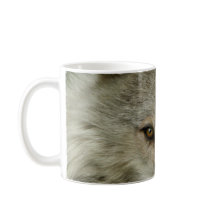 Timber Wolf Wildlife Fotografy