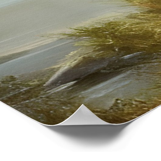 Timber Wolf Wildlife Portrait Poster (Ecke)