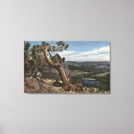 Timberline im Mammoth-Wappen Leinwanddruck (Vorderseite)