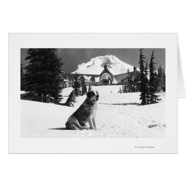 Timberline Lodge und "Lady" die Besitzerin (Vorderseite (Horizontal))