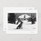 Timberline Lodge und "Lady" die Besitzerin Postkarte (Vorne/Hinten)