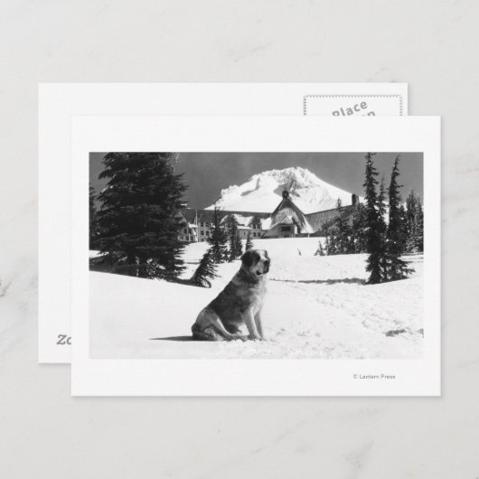 Timberline Lodge und "Lady" die Besitzerin Postkarte (Vorne/Hinten)