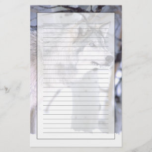 Timberwolf, Canis lupus, Film Tier Utah) Briefpapier
