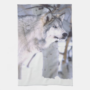 Timberwolf, Canis lupus, Film Tier Utah) Handtuch