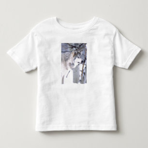 Timberwolf, Canis lupus, Film Tier Utah) Kleinkind T-shirt