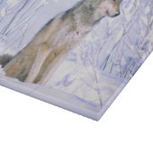 Timberwolf, der im Schnee sitzt, Canis Lupus, Schneidebrett (Ecke)