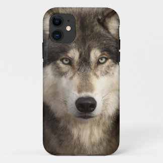 Timberwolf durch Jim Zuckerman Case-Mate iPhone Hülle