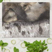 Timberwolf durch Jim Zuckerman Handtuch (Gefaltet)
