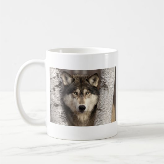 Timberwolf durch Jim Zuckerman Kaffeetasse (Links)