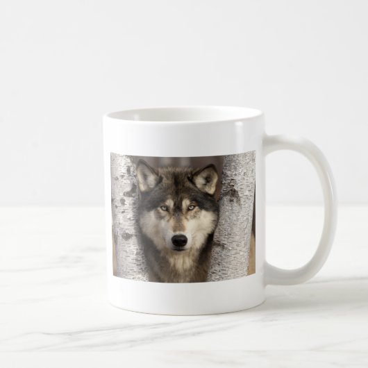 Timberwolf durch Jim Zuckerman Kaffeetasse (Rechts)