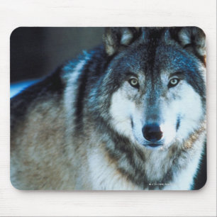 Timberwolf Mousepad