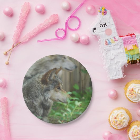 Timberwolf Pappteller (Party)