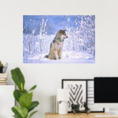 Timberwolf sitzt im Schnee, Canis lupus, Poster (Heimbüro)