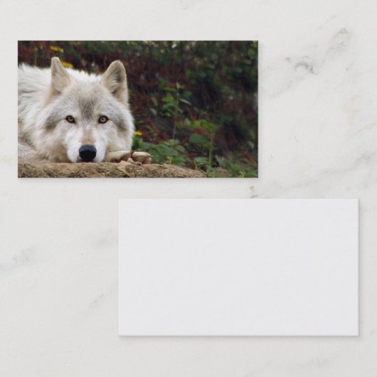 Timberwolf-Starren Visitenkarte (Vorne/Hinten)