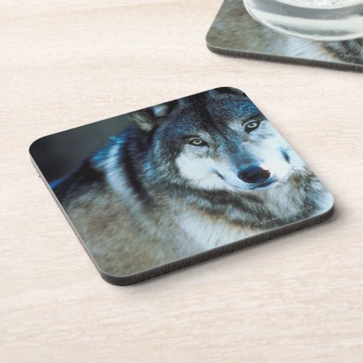 Timberwolf Untersetzer (Linke Seite)