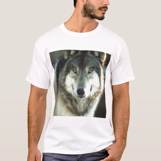Timberwolf von JungleWalk.com T-Shirt (Vorderseite)