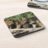 Timberwolfjunge Getränkeuntersetzer (Linke Seite)