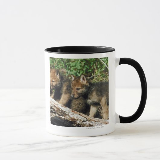 Timberwolfjunge Tasse (Rechts)