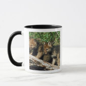 Timberwolfjunge Tasse (Links)