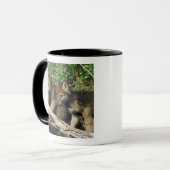 Timberwolfjunge Tasse (Vorderseite Links)