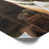 Time Machine Young Girl and Tiger 80-2 Poster (Ecke)