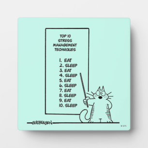 Time Management Fotoplatte