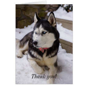 Time To Rest Thank You Card