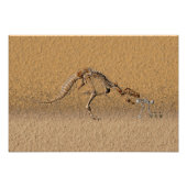 Time-Warp-Fossil Fotodruck (Vorne)