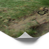 "TIME WORN" by Cr Sinclair Poster (Ecke)