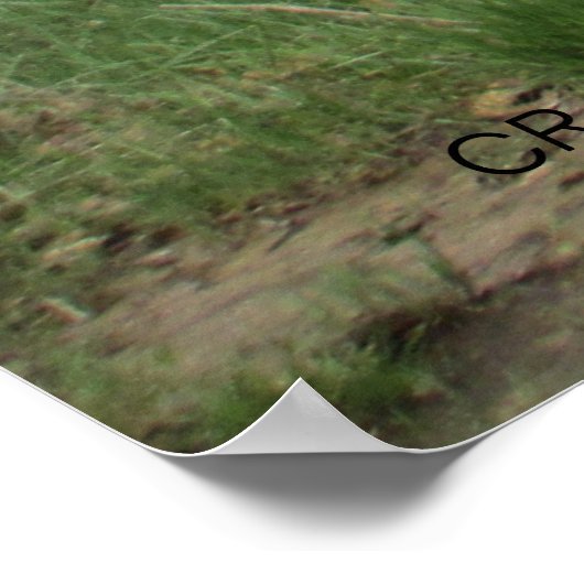 "TIME WORN" by Cr Sinclair Poster (Ecke)