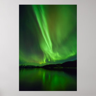 Timeless Aurora Poster