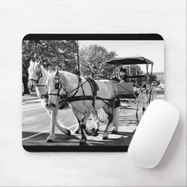Timeless Journey Mousepad