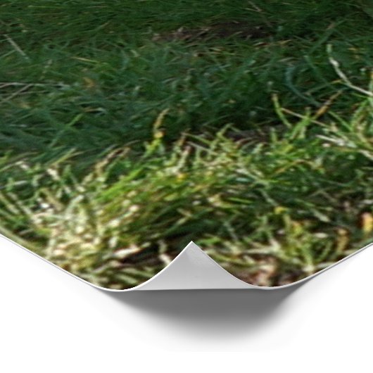 Timeless Journey Poster (Ecke)