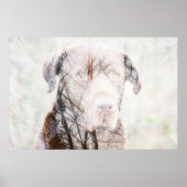 Timeless Journey Poster (Vorne)