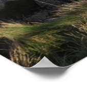 Timeless Journey Poster (Ecke)