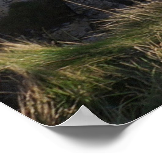 Timeless Journey Poster (Ecke)