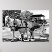 Timeless Journey Poster (Vorne)