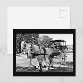 Timeless Journey Postkarte