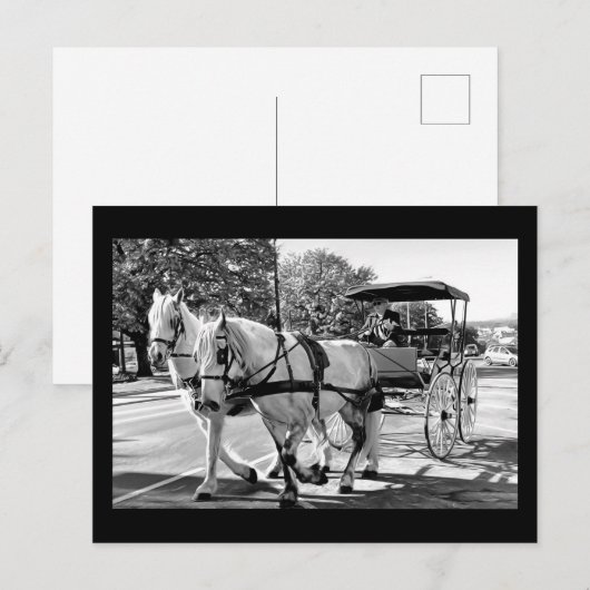 Timeless Journey Postkarte (Vorne/Hinten)