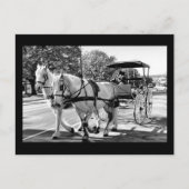 Timeless Journey Postkarte (Vorderseite)